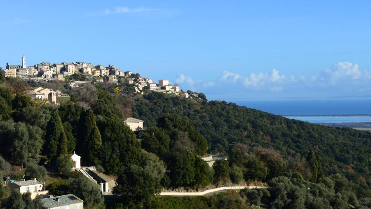 Au Coeur Du Village De Lucciana Lucciana  Buitenkant foto